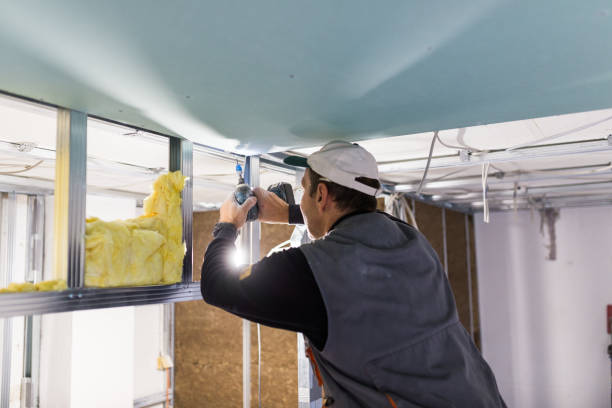 Best Blown-in Insulation in Happy Valley, CA